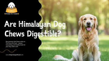 Are Himalayan Dog Chews Digestible?