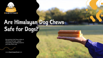 Are Himalayan Dog Chews Safe for Dogs? A Complete Guide