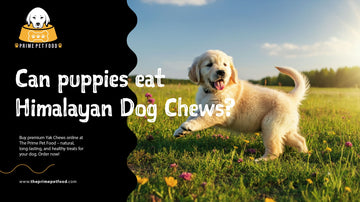 Can puppies eat Himalayan Dog Chews?