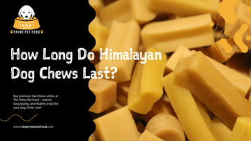 How Long Do Himalayan Dog Chews Last?