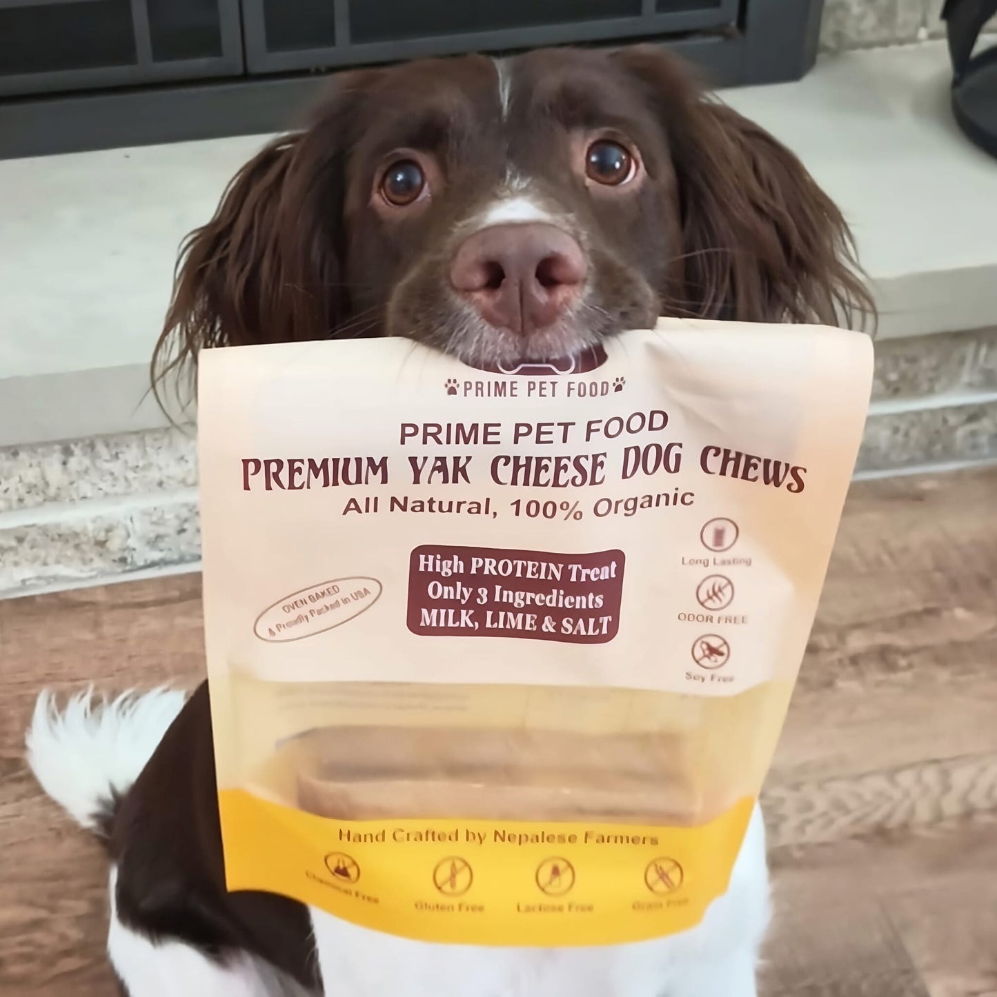 Trumaric Himalayan Yak Cheese Chew for Dogs