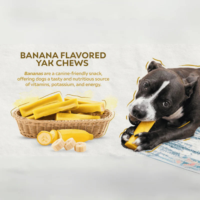 Banana Yak Cheese Chew for Dogs - Natural and Digestible Treat