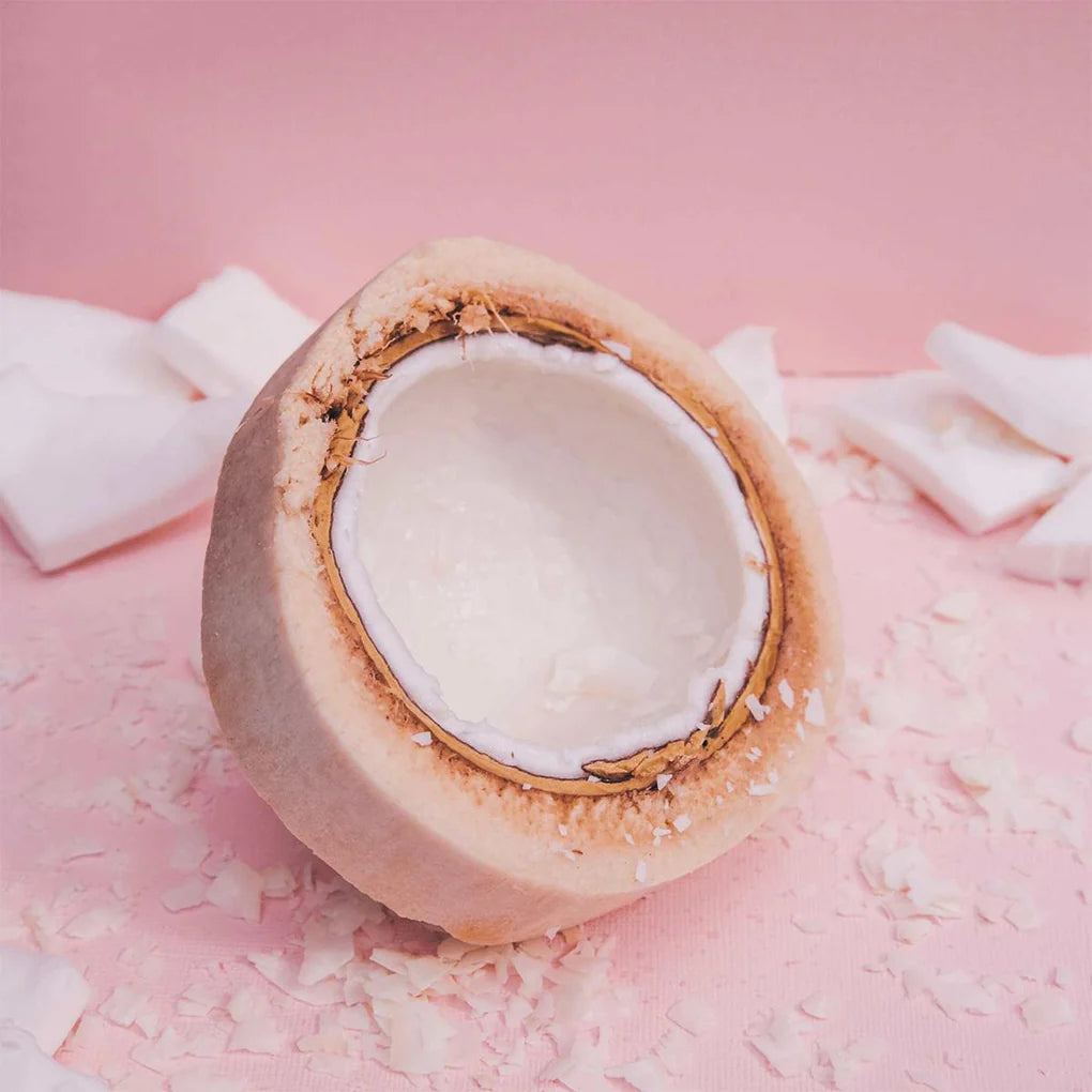 Natural Coconut Yak Cheese Chew for Dogs - Long-Lasting, 100% Digestible Treat with Natural Coconut