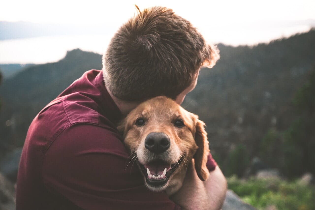 petlovers.jpg__PID:4e451ab5-6eb0-4a6c-b0fd-796a0dbf057e