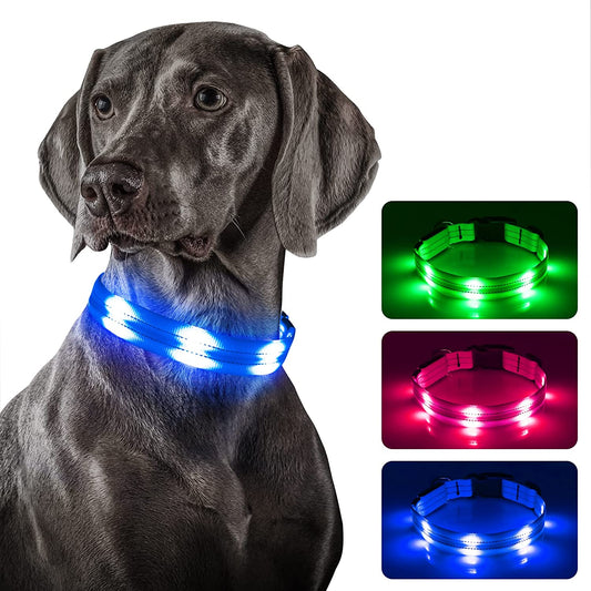 Light up Dog Collars - USB Rechargeable Reflective Glowing Puppy Collar, Adjustable LED Pet Collar Lights for Night Dog Walking (Large, Blue)