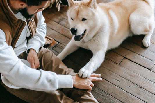 Digestible Dog Chews