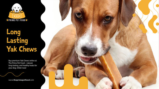 Long-Lasting Yak Chews