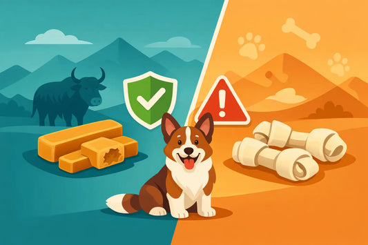 Yak Chews vs Rawhide Safety for Dogs