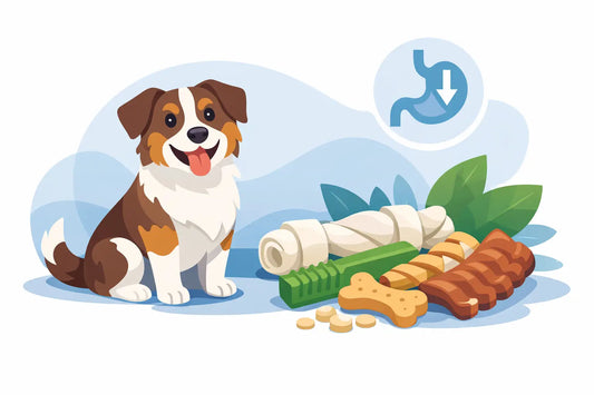 A Guide to Digestible Dog Chews
