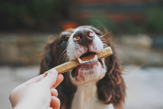 High-Protein Dog Treats