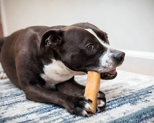 Healthy Dog Chews