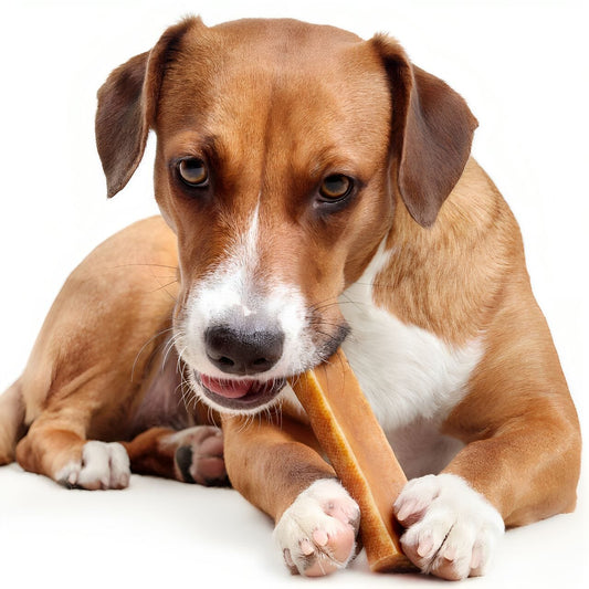 Grain-Free Dog Chews