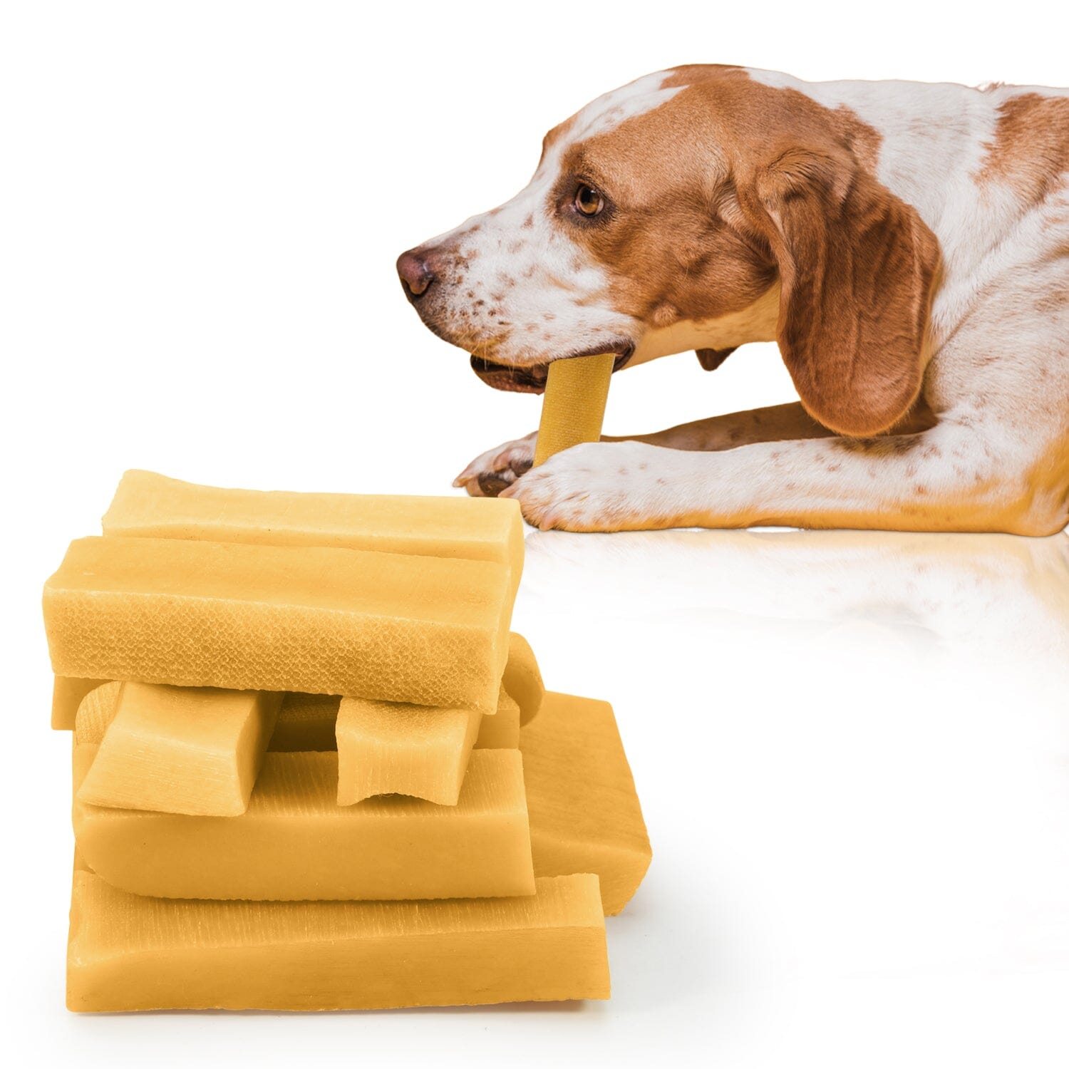 The Importance of Milk Quality and Testing for Production of Quality Dog Chews / Himalayan Dog Chews