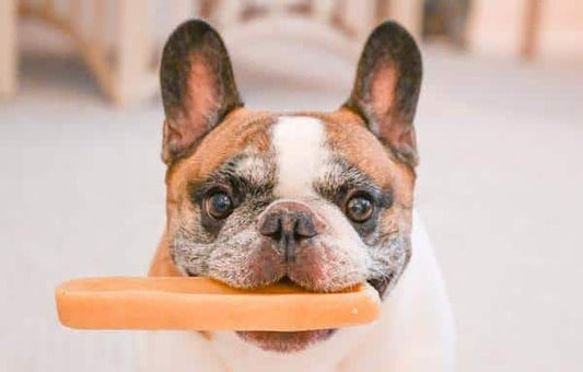 Rawhide Alternative Dog Chews
