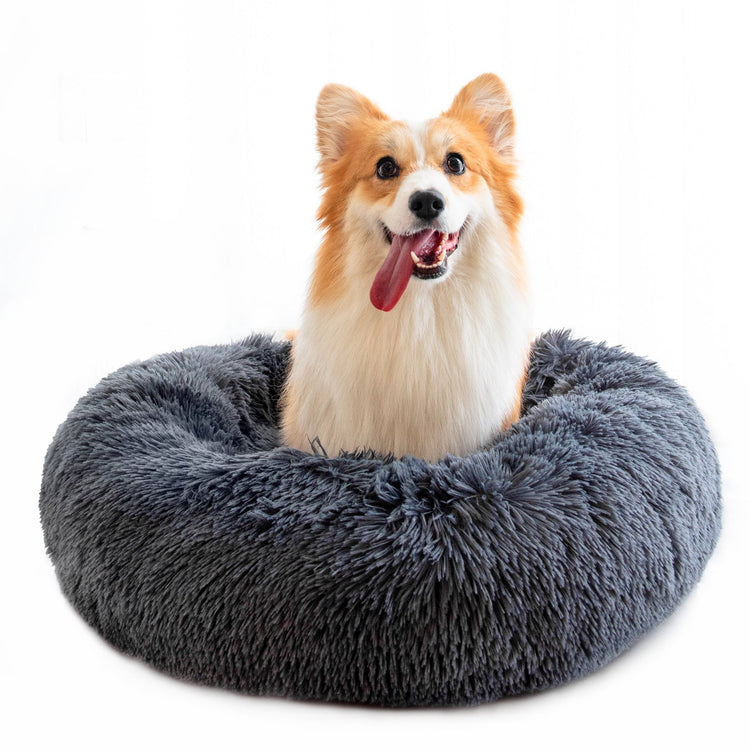 Heated Dog Beds