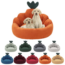 Carrot Kennel Universal In All Seasons Small And Medium-sized Dogs Dog Mats