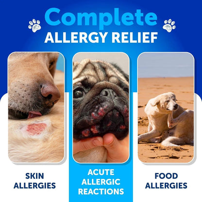 Probiotics For Dogs Support Gut Health Itchy Skin Allergies Immunity Yeast Balance