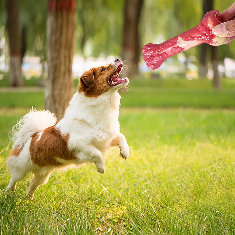 Pet Toy Bone Dog Molar Stick Bite Resistant