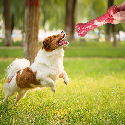 Pet Toy Bone Dog Molar Stick Bite Resistant