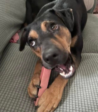 Strawberry Yak Cheese Chew for Dogs - Natural and Digestible Treat, 100% Digestible, Easy on Stomachs, No Artificial Additives