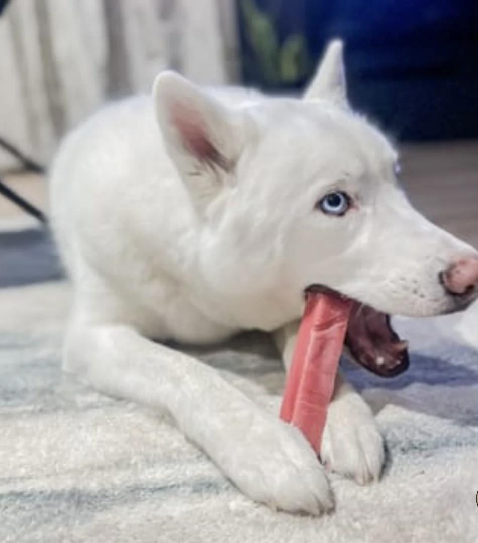 Strawberry Yak Cheese Chew for Dogs - Natural and Digestible Treat, 100% Digestible, Easy on Stomachs, No Artificial Additives