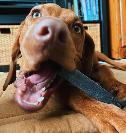 Blueberry Himalayan Yak Cheese Chew for Dogs - Natural and Digestible Treat, 100% Digestible, Easy on Stomachs, All Ages