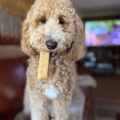Natural Coconut Yak Cheese Chew for Dogs - Long-Lasting, 100% Digestible Treat with Natural Coconut