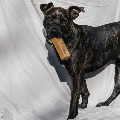 Flaxseeds Himalayan Yak Cheese Chew for Dogs - Natural and Digestible Treat, 100% Digestible, Easy on Stomachs, All Ages