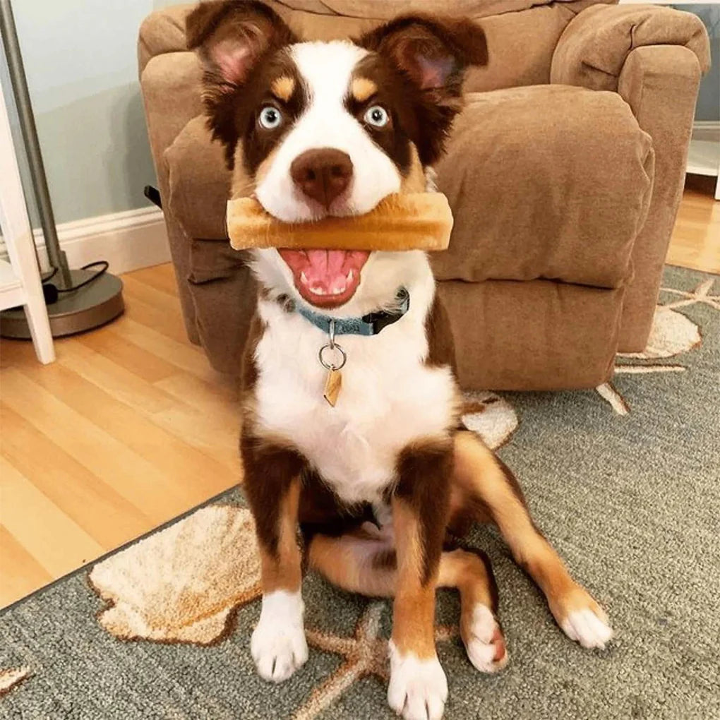 Honey Yak Cheese Chew for Dogs - Long-Lasting and Digestible Treat with Natural Honey, 100% Digestible