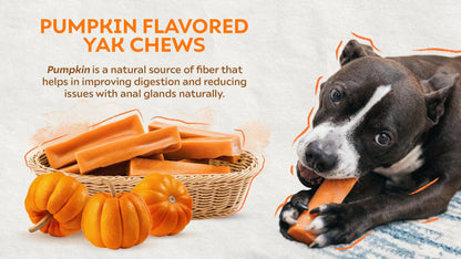 Pumpkin Yak Cheese Chew for Dogs - Natural & Digestible Treat - 100% All-Natural Ingredients