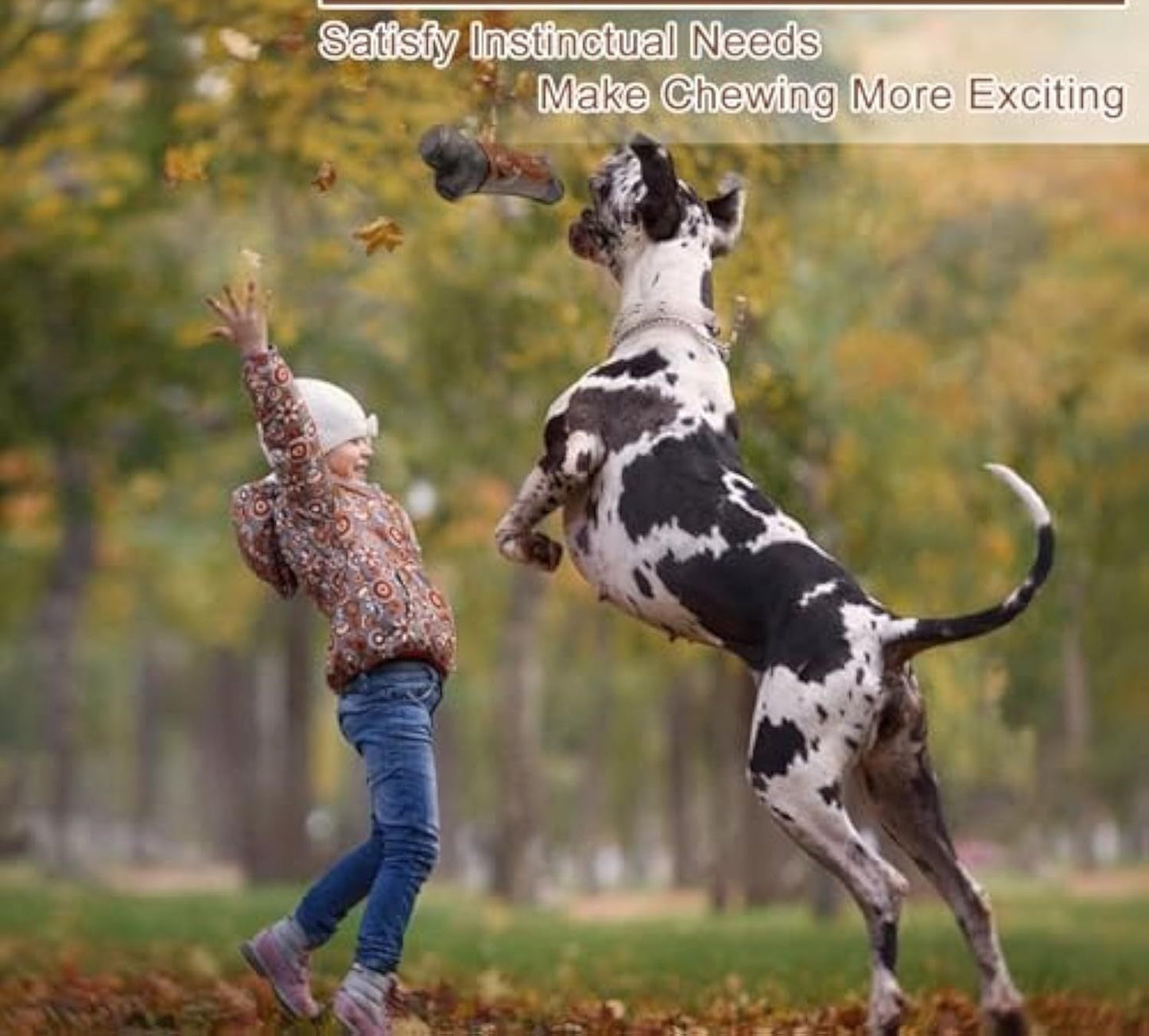 Tough Dog Toys For Aggressive Chewers