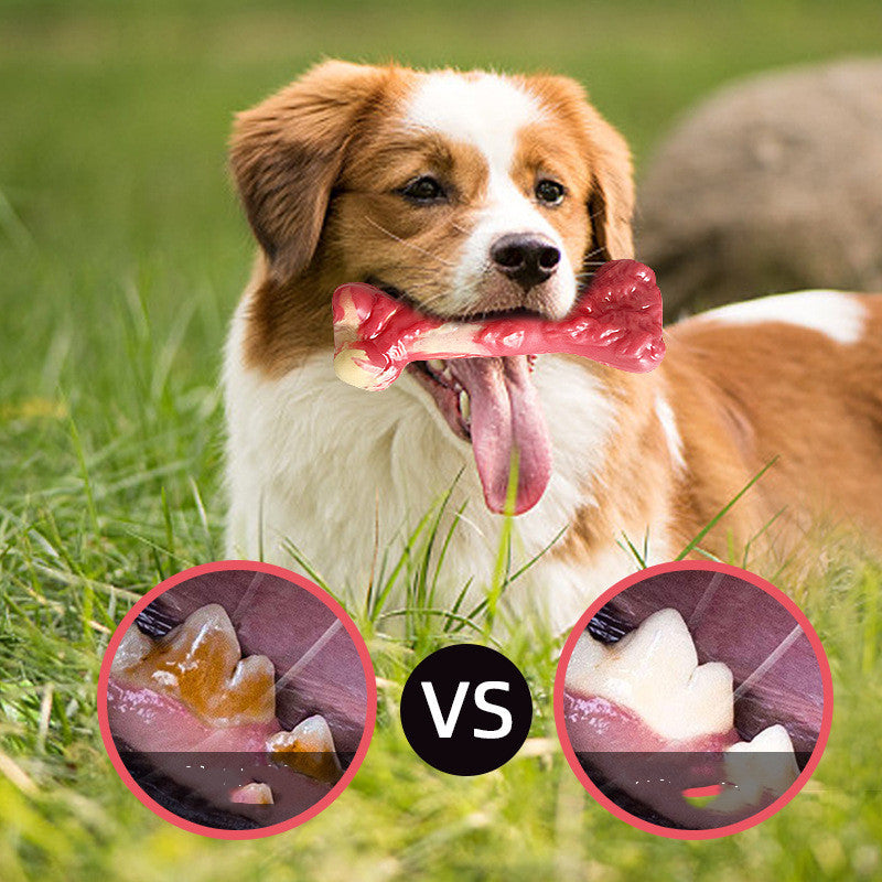 Pet Toy Bone Dog Molar Stick Bite Resistant