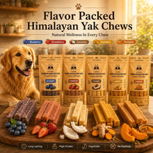 Flavoured Himalayan Yak Cheese Chew for Dogs